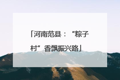 河南范县：“粽子村”香飘振兴路
