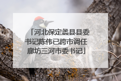 河北保定蠡县县委书记陈伟已跨市调任廊坊三河市委书记
