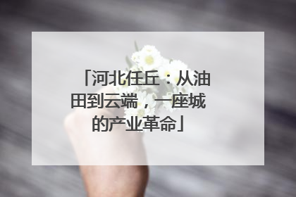 河北任丘：从油田到云端，一座城的产业革命