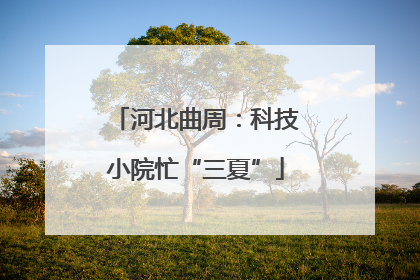 河北曲周：科技小院忙“三夏”