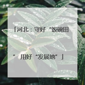 河北：守好“饭碗田” 用好“发展地”