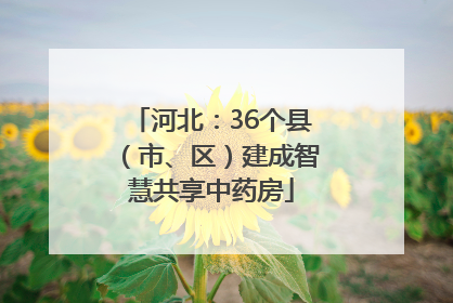 河北：36个县（市、区）建成智慧共享中药房