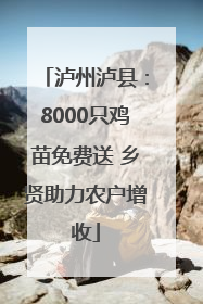 泸州泸县：8000只鸡苗免费送 乡贤助力农户增收