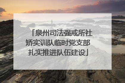 泉州司法强戒所社矫实训队临时党支部扎实推进队伍建设