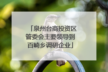 泉州台商投资区管委会主要领导到百崎乡调研企业