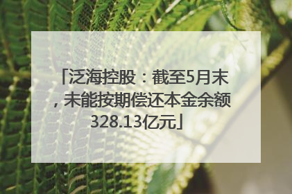 泛海控股：截至5月末，未能按期偿还本金余额328.13亿元