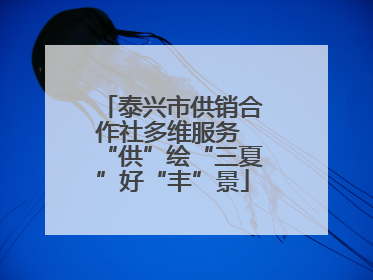 泰兴市供销合作社多维服务 “供”绘“三夏”好“丰”景