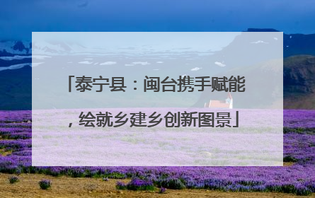 泰宁县：闽台携手赋能，绘就乡建乡创新图景