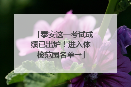泰安这一考试成绩已出炉！进入体检范围名单→