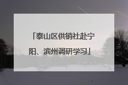泰山区供销社赴宁阳、滨州调研学习