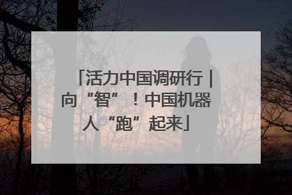 活力中国调研行｜向“智”！中国机器人“跑”起来