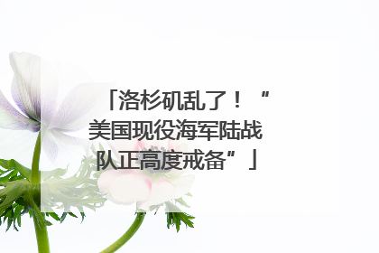 洛杉矶乱了！“美国现役海军陆战队正高度戒备”