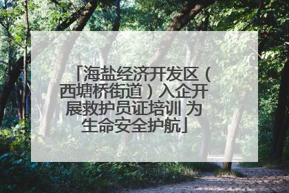 海盐经济开发区（西塘桥街道）入企开展救护员证培训 为生命安全护航