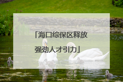 海口综保区释放强劲人才引力