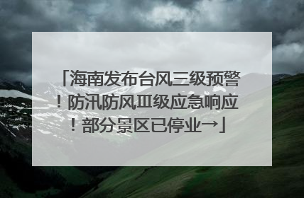 海南发布台风三级预警！防汛防风Ⅲ级应急响应！部分景区已停业→