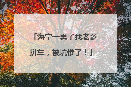 海宁一男子找老乡拼车，被坑惨了！