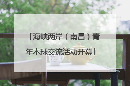 海峡两岸（南昌）青年木球交流活动开幕