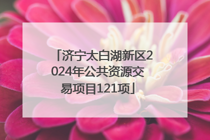 济宁太白湖新区2024年公共资源交易项目121项