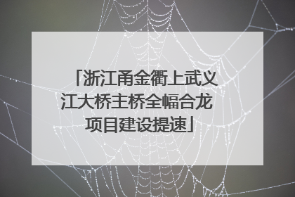 浙江甬金衢上武义江大桥主桥全幅合龙 项目建设提速