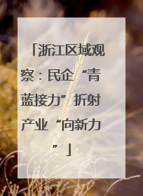 浙江区域观察：民企“青蓝接力”折射产业“向新力”