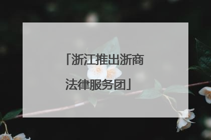浙江推出浙商法律服务团