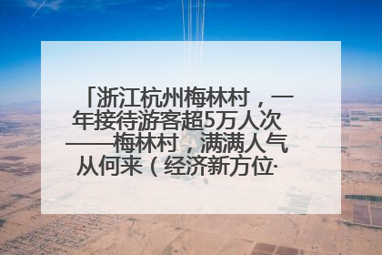 浙江杭州梅林村，一年接待游客超5万人次——梅林村，满满人气从何来（经济新方位·农村消费观察）