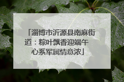 淄博市沂源县南麻街道：粽叶飘香迎端午 心系军属情意浓