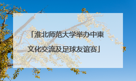 淮北师范大学举办中柬文化交流及足球友谊赛