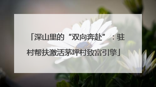 深山里的“双向奔赴”：驻村帮扶激活茅坪村致富引擎
