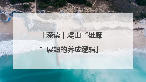 深读｜虞山“雄鹰”展翅的养成逻辑