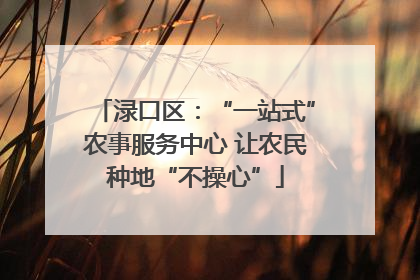 渌口区：“一站式”农事服务中心 让农民种地“不操心”