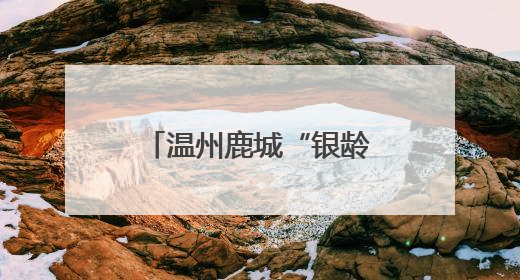 温州鹿城“银龄弄潮儿”玩转DeepSeek，智慧生活触手可及