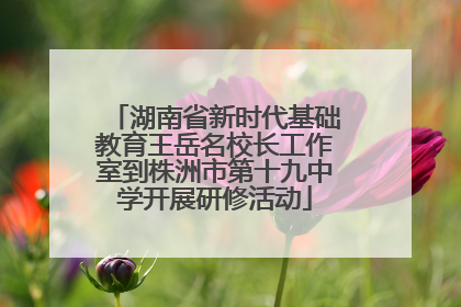 湖南省新时代基础教育王岳名校长工作室到株洲市第十九中学开展研修活动