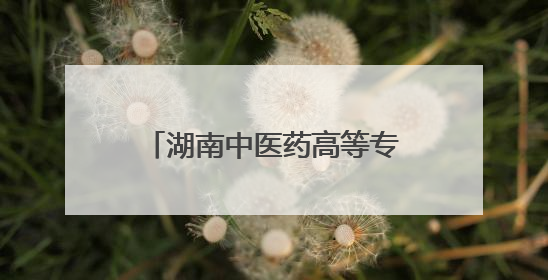 湖南中医药高等专科学校举行2025届毕业生毕业典礼