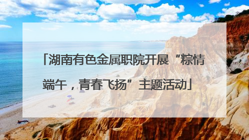 湖南有色金属职院开展“粽情端午，青春飞扬”主题活动
