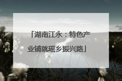 湖南江永：特色产业铺就瑶乡振兴路