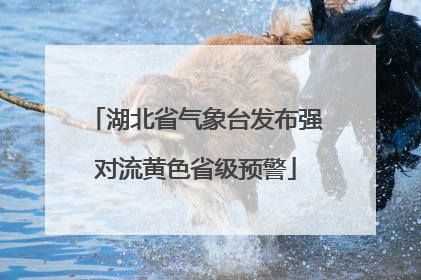 湖北省气象台发布强对流黄色省级预警