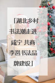 湖北乡村书法潮走进咸宁 共商李邕书法品牌建设
