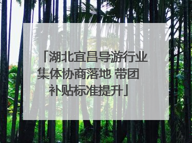湖北宜昌导游行业集体协商落地 带团补贴标准提升