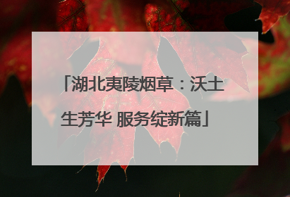 湖北夷陵烟草：沃土生芳华 服务绽新篇