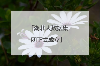 湖北大数据集团正式成立
