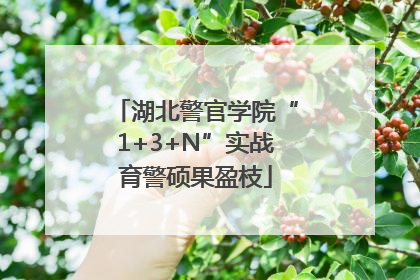 湖北警官学院“1+3+N”实战育警硕果盈枝
