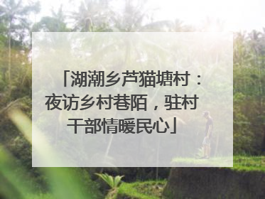 湖潮乡芦猫塘村：夜访乡村巷陌，驻村干部情暖民心