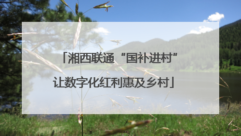 湘西联通“国补进村”让数字化红利惠及乡村