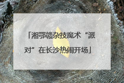 湘鄂赣杂技魔术“派对”在长沙热闹开场