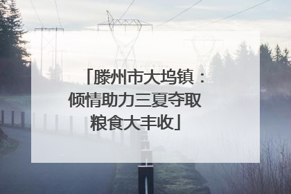 滕州市大坞镇:倾情助力三夏夺取粮食大丰收