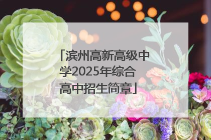 滨州高新高级中学2025年综合高中招生简章