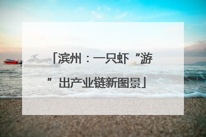 滨州：一只虾“游”出产业链新图景