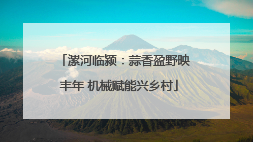 漯河临颍：蒜香盈野映丰年 机械赋能兴乡村