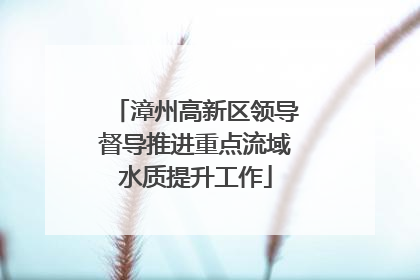 漳州高新区领导督导推进重点流域水质提升工作